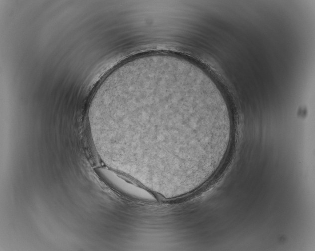 X0000111170977200908121042