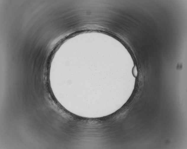 X0000111170979200908121042