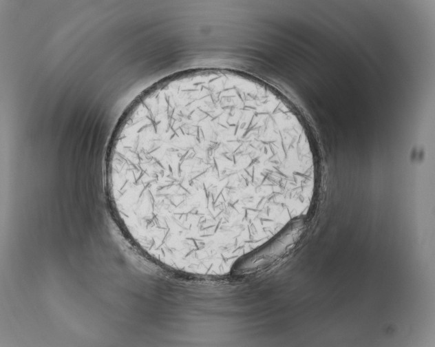 X0000111170980200908121042