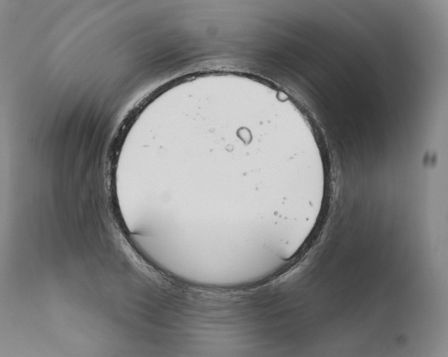 X0000111170981200908121042