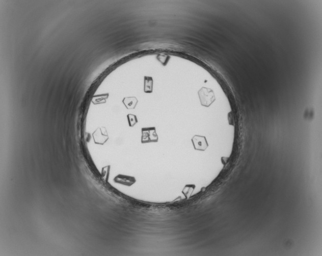 X0000111170983200908121042