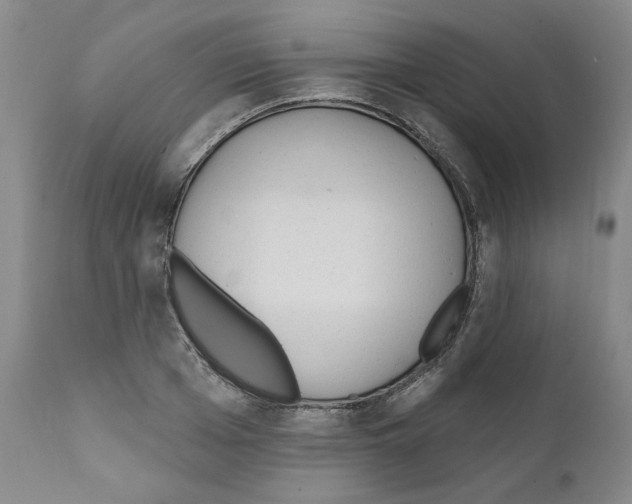 X0000111170985200908121042