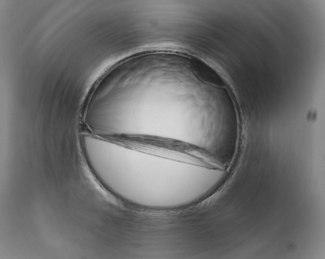 X0000111170989200908121042