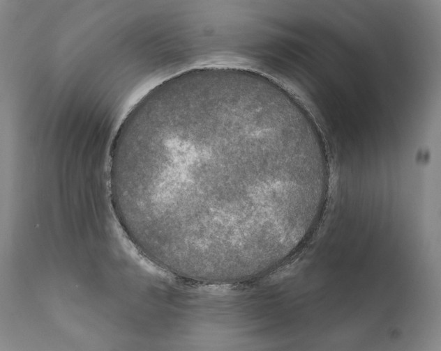 X0000111170990200908121042