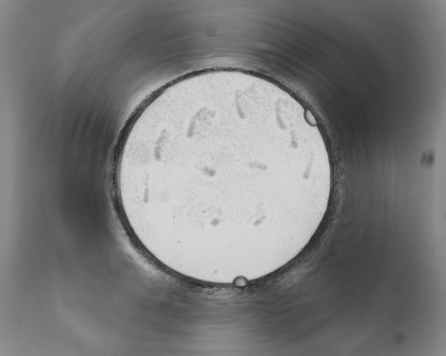 X0000111170991200908121042