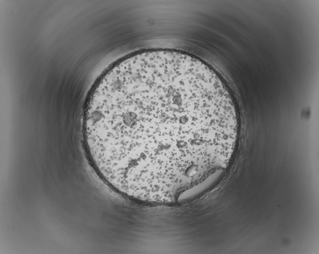 X0000111170992200908121042