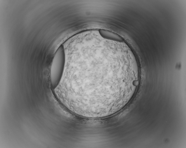 X0000111170993200908121042