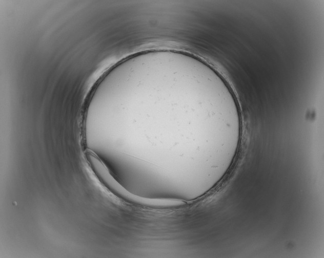 X0000111170997200908121042