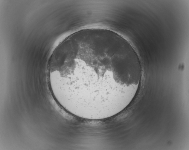 X0000111170998200908121042