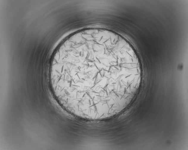 X0000111171000200908121042