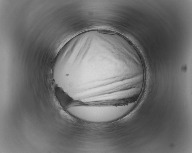 X0000111171001200908121042