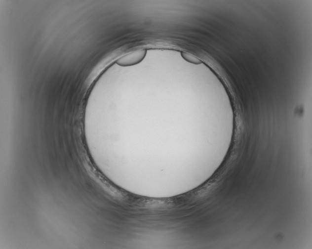 X0000111171002200908121042