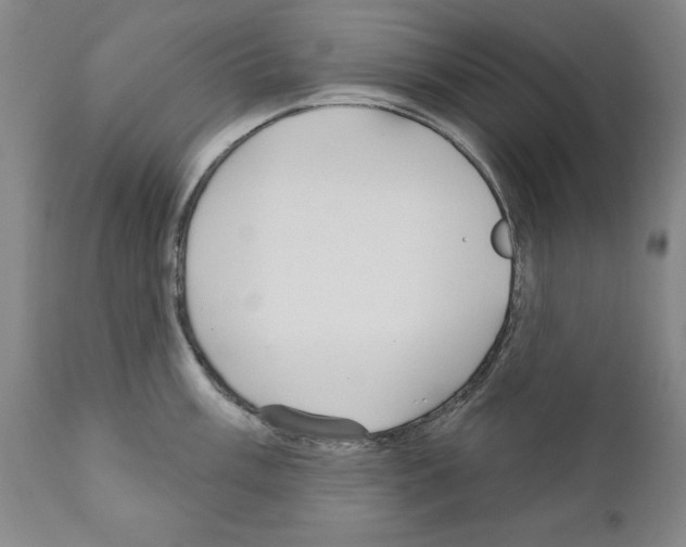 X0000111171003200908121042