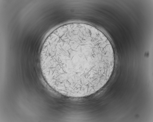 X0000111171004200908121042