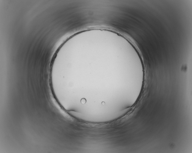 X0000111171005200908121042