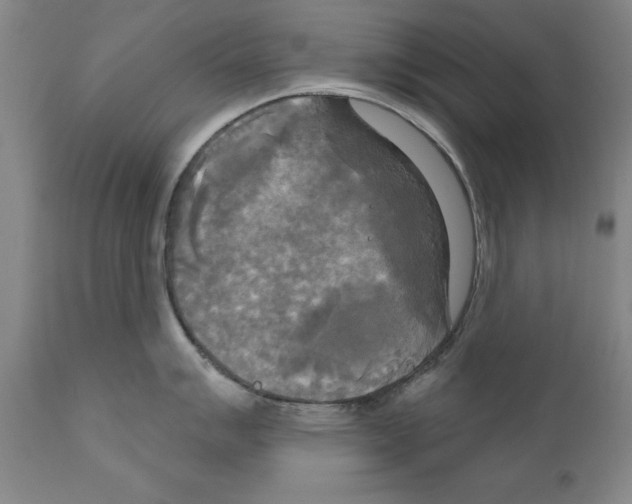 X0000111171007200908121042