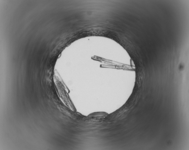 X0000111171010200908121041