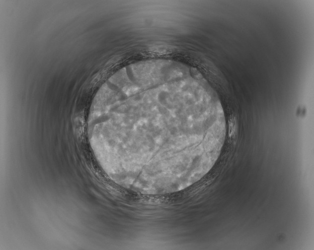 X0000111171011200908121041