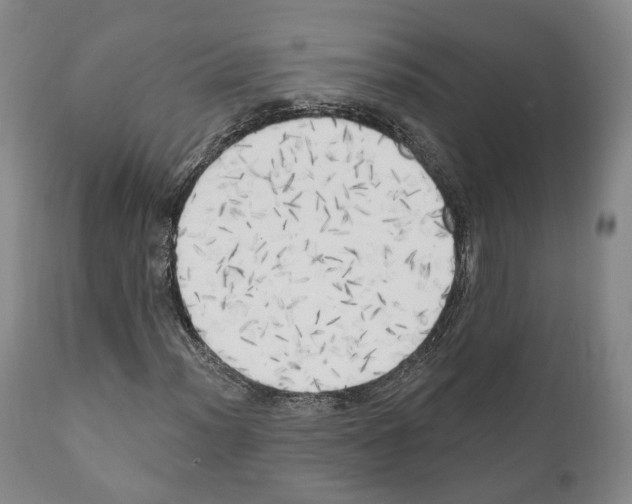 X0000111171012200908121041