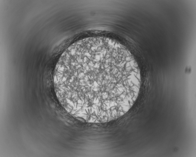 X0000111171014200908121041