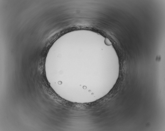 X0000111171015200908121041