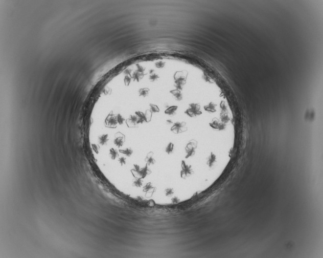 X0000111171018200908121042