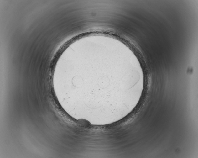 X0000111171021200908121042