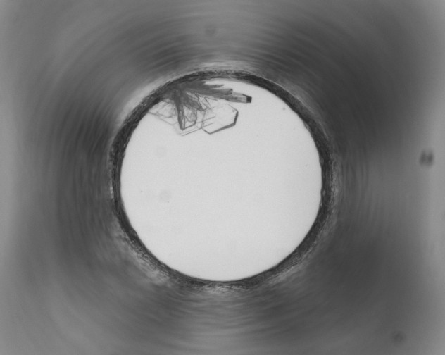 X0000111171022200908121042