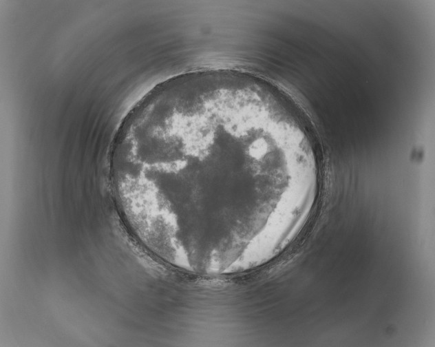 X0000111171023200908121042