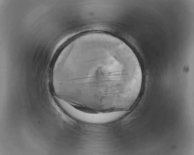 X0000111171024200908121042