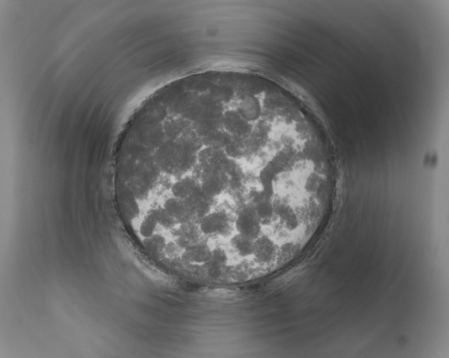 X0000111171027200908121042