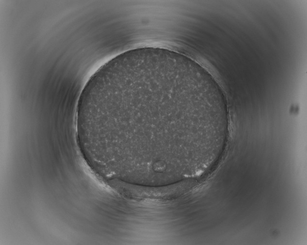 X0000111171028200908121042