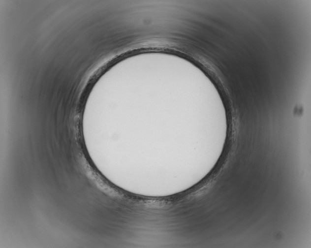 X0000111171029200908121042