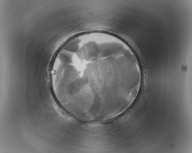 X0000111171031200908121042