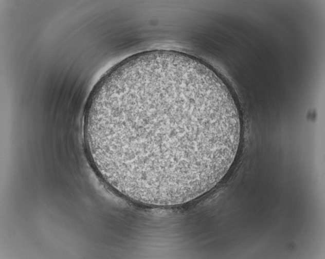 X0000111171032200908121042