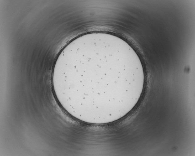 X0000111171033200908121042