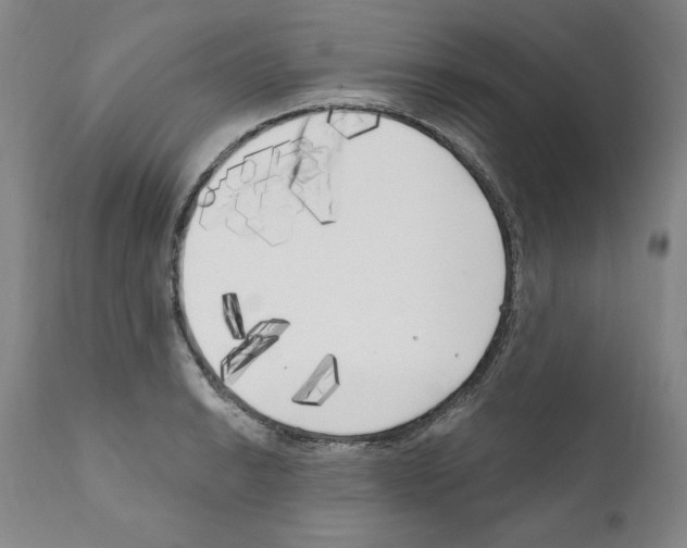 X0000111171038200908121042