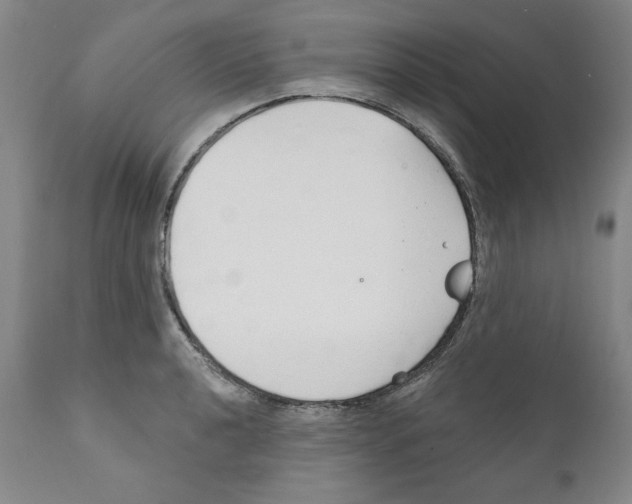 X0000111171040200908121042