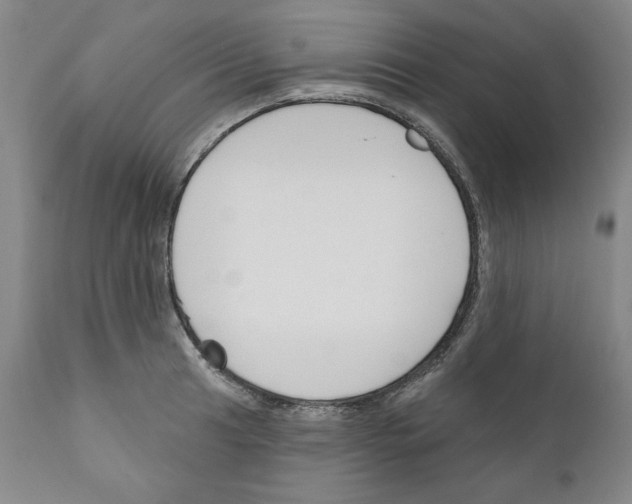 X0000111171041200908121042