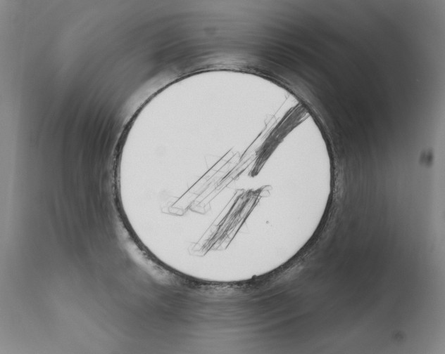 X0000111171042200908121042