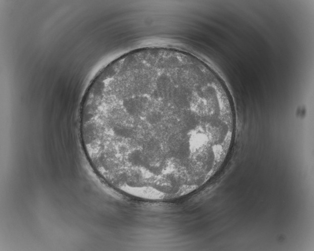 X0000111171045200908121042