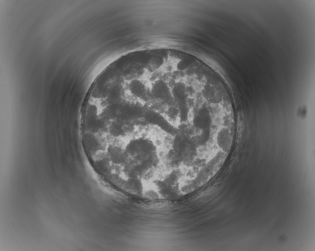 X0000111171047200908121042