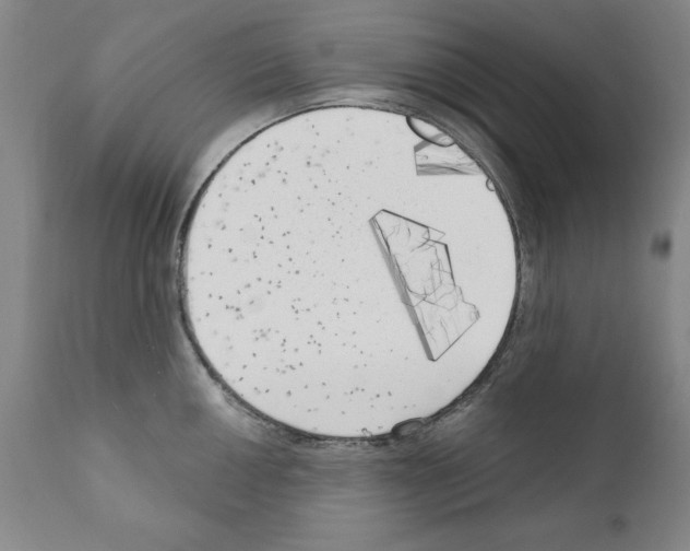 X0000111171050200908121042