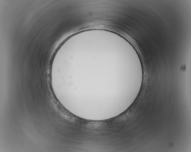 X0000111171051200908121042