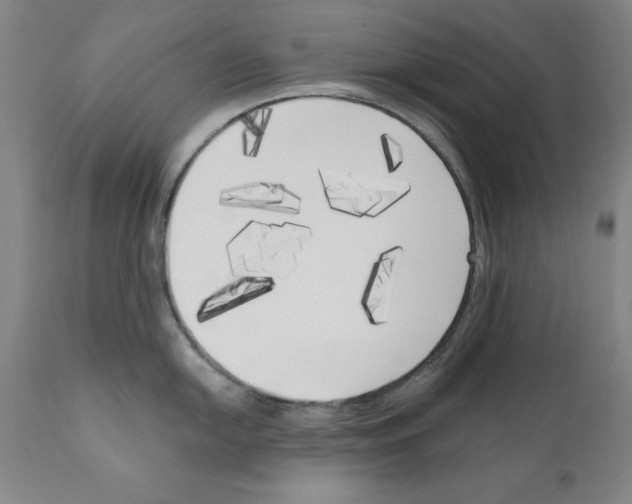 X0000111171054200908121042