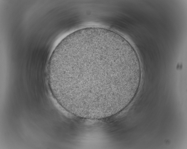 X0000111171056200908121042