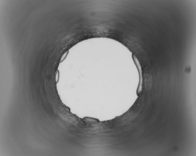 X0000111171057200908121041