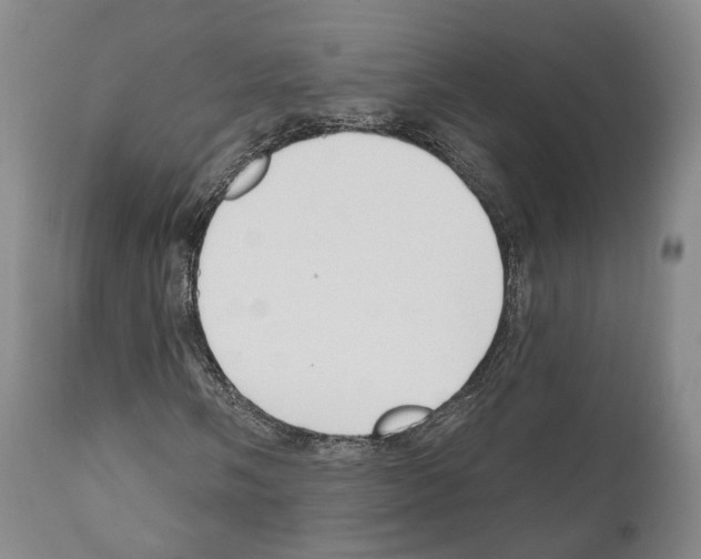 X0000111171058200908121041