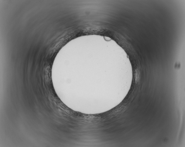 X0000111171059200908121041