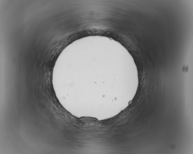 X0000111171061200908121041